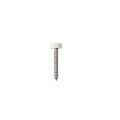 LMT 4034W-500-WHITE #10 x 1 1/2" Phillips Screw and Snap Cap - White