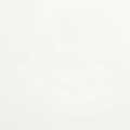 White Color Sample