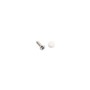 LMT 1141-500-WHITE #10 x 3/4" Screw and Caps - White