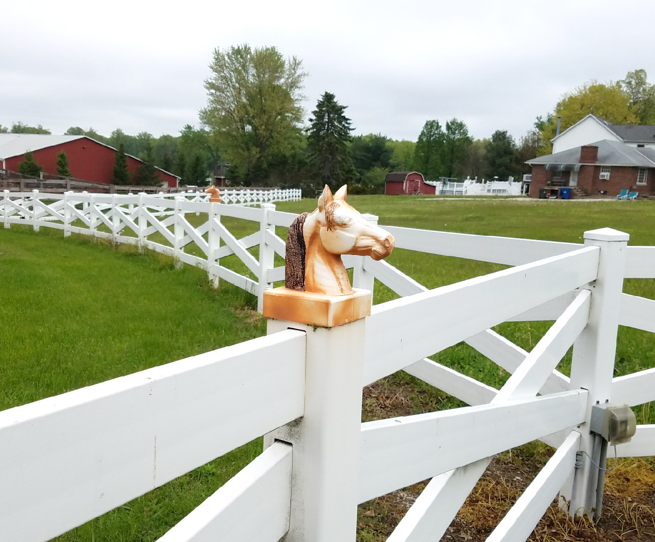 horse fence around farm best fence